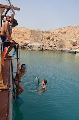 We all try snorkeling in the Gulf off Telegraph Island!